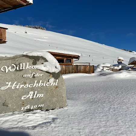 Holiday home New On The Alm With Terrace And Balcony Zellberg